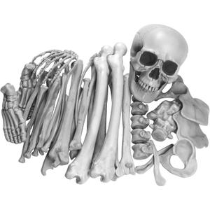 35 Pieces Skeleton Bones for Halloween Decoration - Plastic Bones Scary Props Decoration for Life Size Skull Bones Decor for Halloween Graveyard Scene Haunted Houses Outdoor Indoor