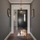 Free Standing Dog gate Indoor,Clear Dog gate,Pet Doggy Gates for doorways Home (3 Panel-W60 X H24)