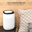 Tenergy Sorbi 1000ml Air Dehumidifier w/Purifying Function, True HEPA Filter, Auto Shutoff, Touch Control Adjustable Air Speed, Ultra-Quiet, Ideal for Closets & Bathrooms