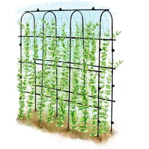 6 ft Tall, Garden Trellis for Climbing Plants Outdoor with Nylon Net for Cucumbers Vines Beans Raised Bed - Lightweight Metal, Black