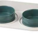 Elevated Ceramic Cat Bowl Set - Raised Double Dishes for Food & Water - Non-Slip Stand & Splash Proof - for Cats & Puppies - 2 x 480 ML - 16.23 OZ (Puppy/Small Dogs & Cat Bowls, Green)