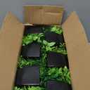 Unittype 12 Pcs Fake Plants Small Artificial Faux Plants for Shelf Mini Plastic Potted Greenery for Home Office Desk Bathroom Bedroom Indoor Decor (Black Pot,Green)