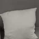 EDOW Throw Pillow Insert, Lightweight Soft Polyester Down Alternative Decorative Pillow, 2pcs, 15x15inches