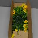 Rowfad 18 Pcs Artificial Fake Pansy Flowers for Outdoor, Faux Silk Pansies Spring Flowers for Outside for Planter Front Door Porch Yard Patio Window Box Home Decor (18, Purple, Yellow, White)