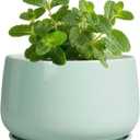 G EPGardening Ceramic Plants Pots - 4 inch Plant Pots Indoor Outdoor, Small Succulent Planter with Drainage Hole & Tray, Modern Flower Pot, Round Decorative Planters, Office Decor, Garden Gift, Green