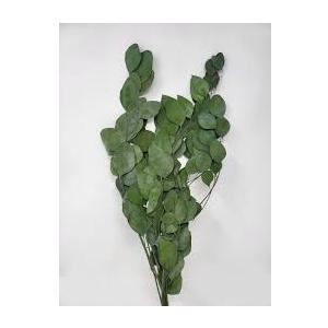 Spring Decor Pick 5 Packs