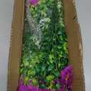 MARTINE MALL 12 Bundles Look Real Artificial Flowers for Outdoors, Realistic Fake Outdoor Flowers, UV Resistant Silk Petunia Flowers for Outside Faux Flowers Plants for Outdoor Porch, Purple