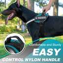 Essential Dog Harness with 3 Leash Clips - No-Pull, Adjustable, Comfortable Pet Vest Harness for Small to Large Dogs - Easy On, No Choke, Reflective, Padded Harness for Walking and Training (S(Neck:14-18",Chest:16-21"), Turquoise)