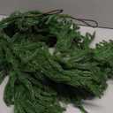 Hananona 2 Pcs 6 Ft Artificial Norfolk Pine Garlands, Real Touch Winter Pine Garland, Green Artificial Greenery Garland for Table, Mantle, Wall, Indoor, Outdoor Christmas Decorations (2, 6 FT)