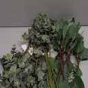 Winlyn 20 Pcs Mixed Artificial Oval Eucalyptus Leaves Bulk with White Seeds Stems and Spray for Vase Floral Wreath Bouquets Wedding Greenery Decoration