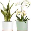 Kubvici 8'' Plastic Flower Planter Pots Set of 2 Indoor Outdoor Planters with Drainage Saucer for Garden Home (Green & White, 8 inch)
