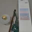 COCORRNA Reed Diffuser - Ocean Breeze Scented Diffuser with 8 Sticks Home Fragrance Reed Diffuser for Bathroom Shelf Decor (6.7 Ounce/1pack)