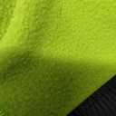 Queenmore Soft Fleece Dog Jacket, Warm Winter Dog Clothes with Leash Hole, Dachshund Sweater for Small Dogs Cats Boy or Girl (Green, xxs)