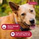 K9 Advantix II Large Dog Vet-Recommended Flea, Tick & Mosquito Treatment & Prevention | Dogs 21-55 lbs. | 2-Mo Supply 