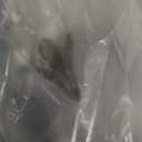 Sunnyskar Plastic Artificial Plants Green Grass Plastic Flower Plant Wedding Home Decoration Table Decors - (Color: Red)