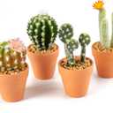 Oairse Mini Artificial Cactus Plants in Terracotta Pots 4 Pcs Potted Faux Succulents in Pots Fake Potted Plants Cactus Decor Small Artificial Plants for Home Decor Indoor Office Desk Tabletop Shelf