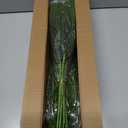 16 Pcs Real Touch Norfolk Pine Branch -18" Artificial Christmas Green Plants Branches Faux Greenery Stem Fake Cedar Pine Picks for Vase DIY Crafts Garland Wreath Xmas Indoor Outdoor Home Decor