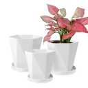 Sun-E Planters for Indoor Plants Flower Pots 7.6/6.5/5.1Inch Set of 3 Plant Pots for Outdoor with Drainage Holes and Saucers Modern Decorative Gift Idea (Pearl White)
