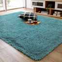 Ompaa Ultra Soft Fluffy Bedroom Rugs Memory Foam Carpet, 4x6 Feet Dark Cyan Area Rugs, Shaggy Living Room Rug Fuzzy Accent Carpets for Kids Girls Rooms, Modern Apartment Dorm Indoor Home Decor