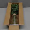 Eucalyptus Stems in Glass Vase with Faux Water, 13.7" Eucalyptus Fake Plants for Home Bathroom Office Kitchen Farmhouse Shelf Centerpiece Coffee Table Decor (Sage Green)