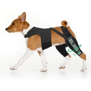 Dog Knee Brace for Back Leg, Hind Leg Support After Torn ACL CCL Surgery, with Reinforced Triangle Iron Connector,Stabilizer for Luxating Patella and Ligament, for Medium Large Dogs(L)
