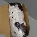 Heated Blanket Throw Electric Blanket with Foot Pocket, GentleSoft Flannel Blanket Throw with 10 Heating Settings,10 Hours Auto Off, Cow Print Cozy Soft, Washable, Warm Gifts (50x62 Inch)