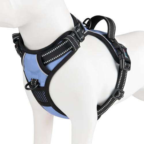 PHOEPET No Pull Dog Harness Reflective Adjustable with 2 Metal Leash Hooks and Soft Training Handle [Over The Head Design](S, Baby Blue)