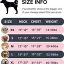 IVY&LANE No Pull Dog Harness for Small Dogs, Dog Vest Harness with Leash, Safety Belt and Storage Strap, Fully Adjustable Harness, 360° Reflective Strip, Soft Handle (Black, S)