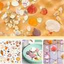 WEOXPR Mixed Sea Shells, 100+ Pcs Beach Seashells Starfish, Various Sizes Ocean Seashells for Fish Tank Vase Fillers, Beach Theme Party Wedding Decor, Candle Making, DIY Crafts