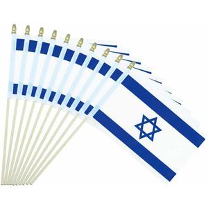 25Pack Small Israel Flag Handheld Mini Israeli Flag on Stick 5x8 Inch