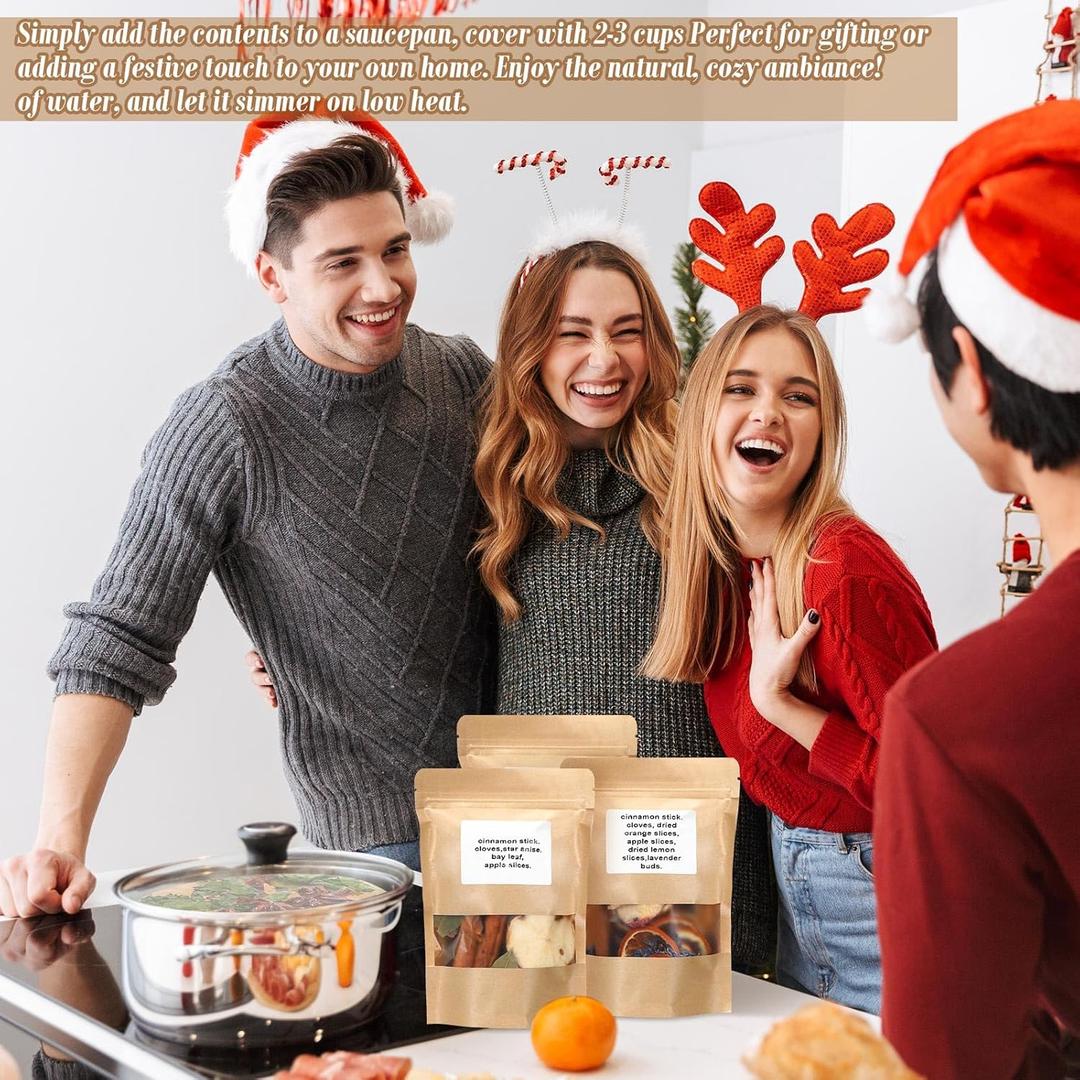 6 Pack Winter Stovetop Potpourri Simmer Pot Kit Dried Orange Slices Cinnamon Stick Air Freshener Sachet Ingredients Bowl Filler Decor for Holiday Fragrance Housewarming Gift