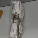 8 Pcs Large Christmas Flower Magnolia Flowers Christmas Tree Decoration Artificial Poinsettia Stems Velvet Xmas Ornaments for Xmas Tree Table Decor(Pink,12 Inch)