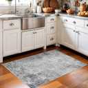 Washable 2x3 Abstract Area Rug - Large Living Room Area Rugs Modern Stain Resistant Indoor mat for Bedroom Dining Room Non Slip Rubber Backing Thin Super Soft Room Decor Floor Carpet 2x3 Grey