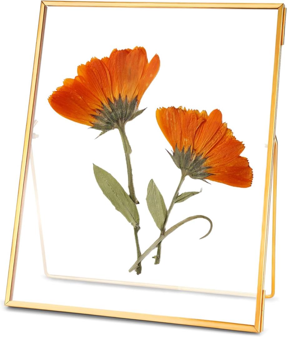 REDHUGO Glass Pressed Flower Frame Handmade, Floating Picture Frames for Pressed Flowers, Tabletop Artwork Photo Frames, Brass Desk Picture Frame for Home Office Plant Specimen, Gold, 8x10 Inches (8L" x 10W")