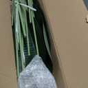 Lifelike Bird of Paradise Artificial Plant 4ft Faux Banana Leaf Tree with 9 Trunks for Home Decor - Perfect Indoor Silk Floor Plant for Living Room, Office, and Bedroom Ambiance Enhancement