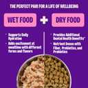 Wellness Complete Health Pate Variety Pack Adult Canned Wet Cat Food, Natural, Protein Rich, Grain Free, Seafood Favorites, 3 oz, Pack of 12 Cans