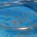 Inflatable Water Slide, 13FT Shark-Themed Large Bounce House with Dual Slides, Climbing Wall, Deep Pool, Water Cannon, 680W Blower, Storage Bag, Backyard Blow Up Water Park for Kids Aged 310