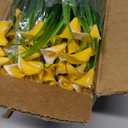 TURNMEON 20 Bundles Calla Lily (400 Heads) Artificial Flowers for Outdoors, Fake Plants UV Resistant Faux Plastic Fake Flowers for Indoor Planter Home Porch Yard Spring Summer Cemetery Decor(Yellow)