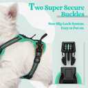 rabbitgoo Dog Harness No Pull with 2 Leash Clips, Adjustable Soft Padded, Reflective Oxford No Choke Pet Vest with Easy Control Handle for Puppy, Black & Turquoise, XS