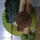 Palm Tree Cat Scratching Post,Cat Tree With Leaves,23" Tall Vertical Cat Scratching Post Tall,Scratcher Post Sisal Rope Wrapped Coconuts Tre Cats Climbing Tower With Hanging Toys.
