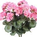 2 Pcs Artificial Flowers Geranium Bush Artificial Flowers Begonia Pink Silk Geranium Flowers for Outdoors Artificial Geraniums Bundles for Planter Indoor Garden Home Decoration Wedding