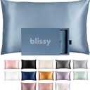 Blissy Silk Pillowcase - 100% Pure Mulberry Silk - 22 Momme 6A High-Grade Fibers - Silk Pillow Cover for Hair & Skin - Regular, Queen & King with Hidden Zipper (Queen, Ash Blue)