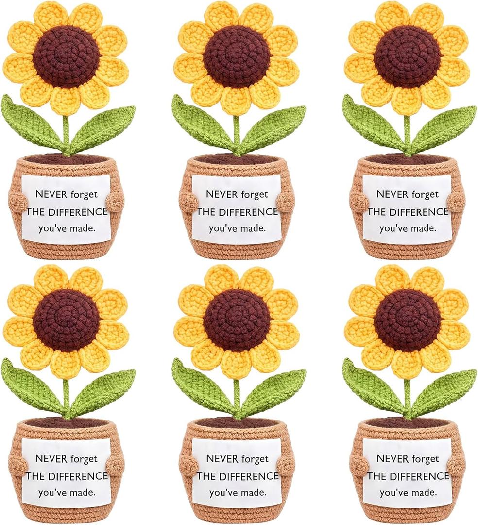 Wavwavw 6 Pcs Employee Appreciation Gifts Bulk Administrative Professionals Week Gift Thank You Volunteer Team Coworkers Staff Positive Handmade Crochet with Inspirational Card(Difference You've Made)