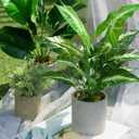 Der Rose JC nateva 16" Small Fake Plants Artificial Tropical Faux Plants Indoor for Office Desk Shelf Bathroom Home Decor