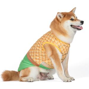 4 x DC Comics Superhero Aquaman Halloween Dog Costume - Officially Licensed Halloween Pet Costumes for Dogs, Size Large (Multicolor)