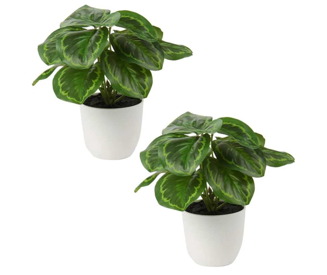 Briful 2 PCS Artificial Potted Alocasia Begonia Calathea Plants Mini Fake Plants in Plastic Pot Small Greenery Faux Plants Indoor for Home Office Desk Room Table Bathroom Bedroom Decorations