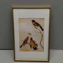 8x12 Picture Frame, Brass Metal Photo Frames with HD Glass, Fits 6x8 with Mat or 8 x 12 without Mat, Display for Wall and Table, 1 Pack