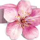 100 Pcs Spring Floral Cocktail Napkins Bulk Pink Flower Paper Napkin Decorative Disposable Cherry Blossom Decor for Wedding Dinner Birthday Baby Shower Party