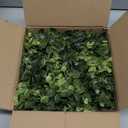 DDHS 11 Inch Artificial Boxwood Small Wreath for Front Doors, 2 Packs Green Leaves Wreath, Spring Summer Mini Wreaths for Indoor Outdoor Hanging Wall Window Wedding Home Decor Party Farmhouse