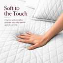 Queen Quilt Bedding Set - Cloud Soft All-Season Bedspread 3 PC w/Shams, Bed Quilt Queen Size Coverlet - Oversized, Light Weight, Ultra Durable, Easy Care - 90 x 96 in (White)